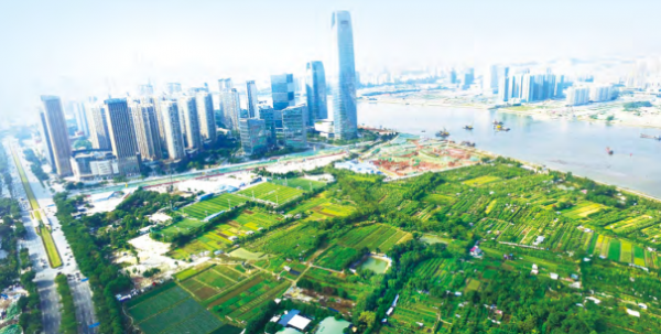 1571992084401504.png image.png